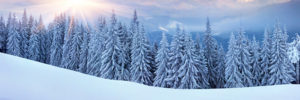 Winter Landscape